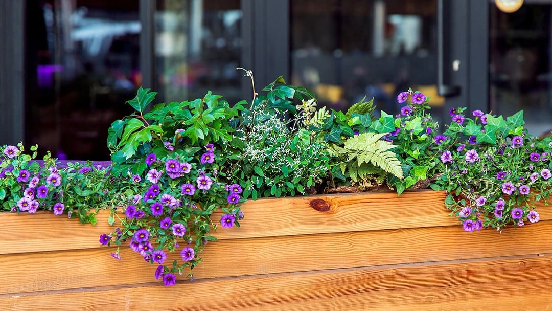 Outdoor Planter Box with Flowers - Outdoor Planter Boxes